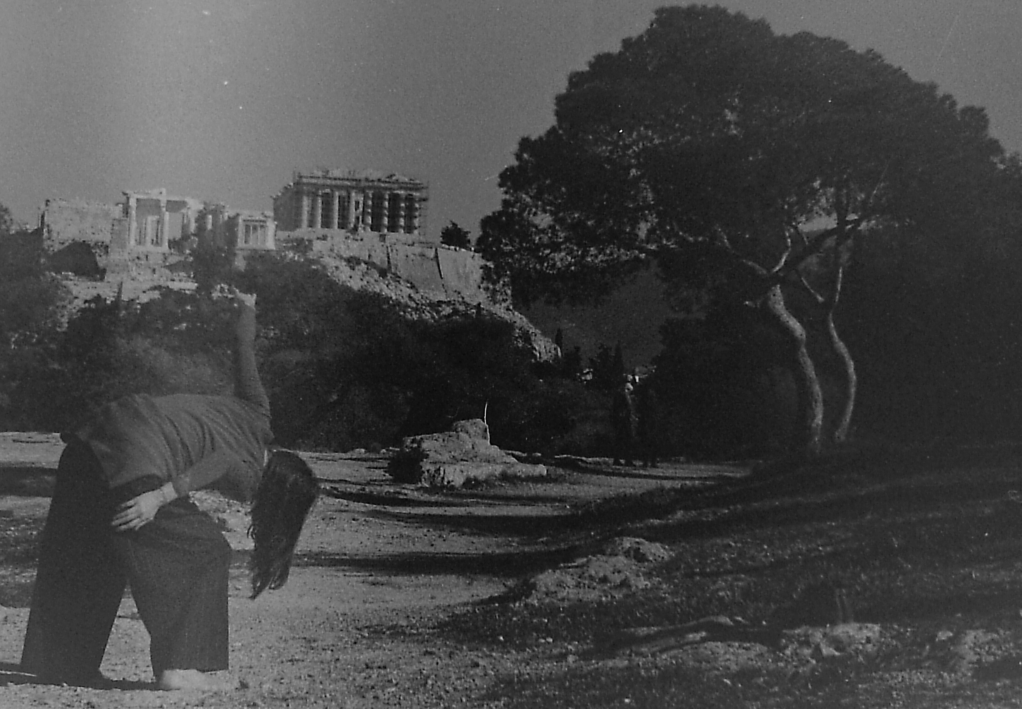 AMBRA GATTO BERGAMASCO